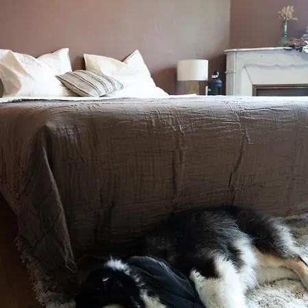 La Maison Leon ホステル ビスカロッス