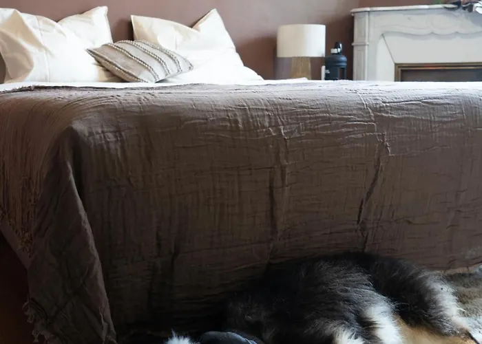 La Maison Leon Хостел Бискаррос